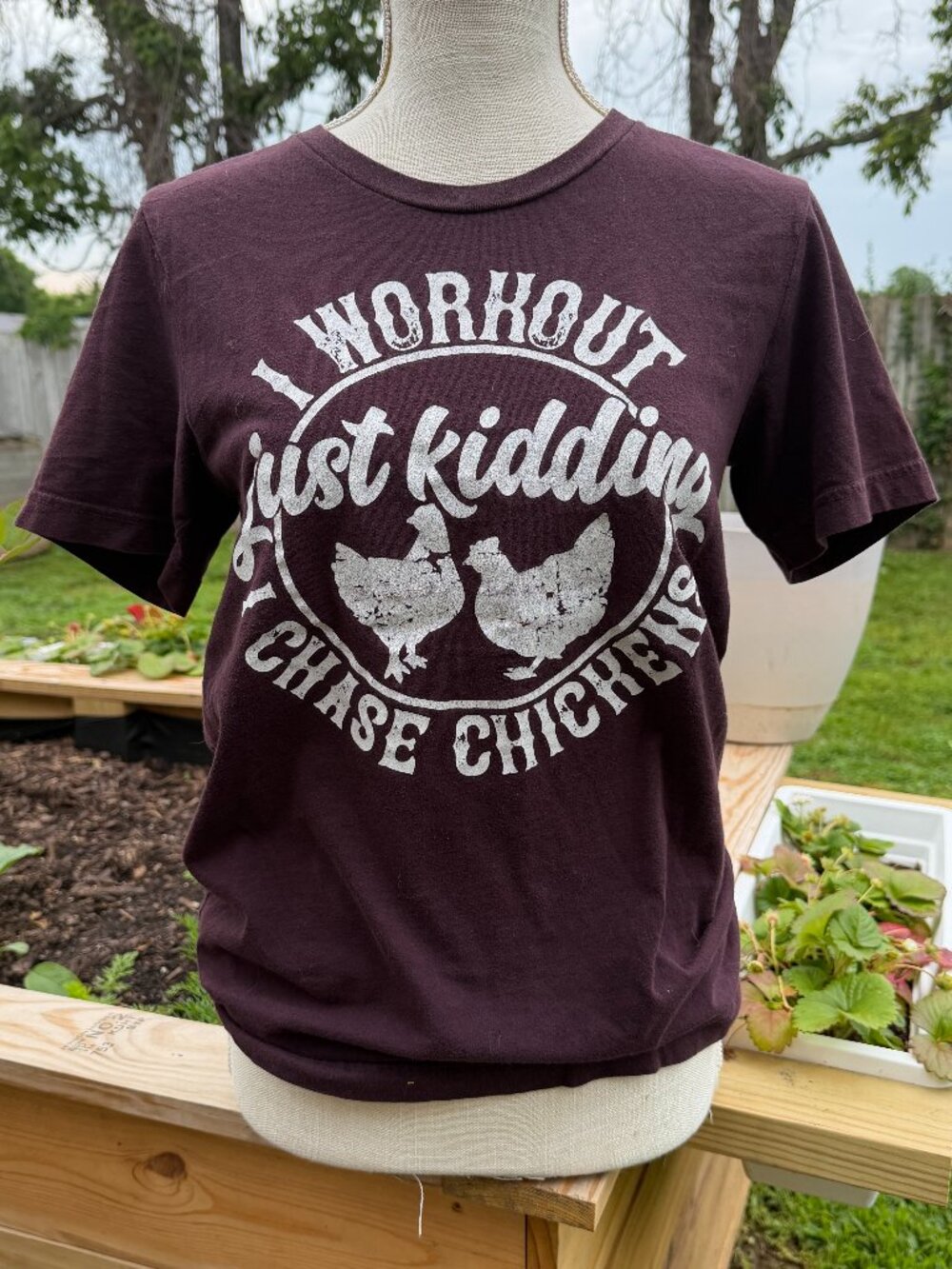 Chasing Chickens Tee — Bella + Canvas (Oxblood, Unisex Fit)